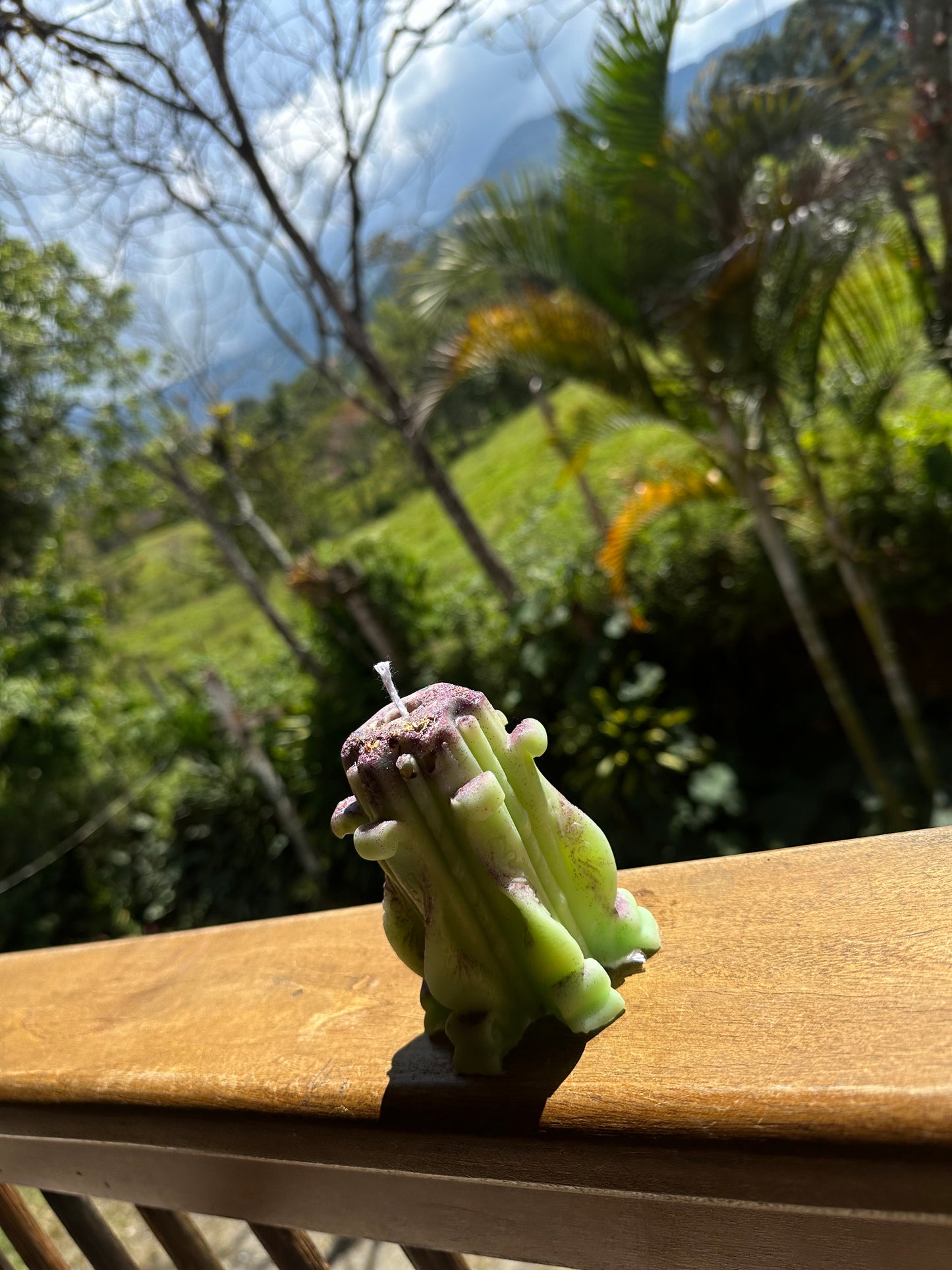 Vela VEN A MÍ ♥️✨