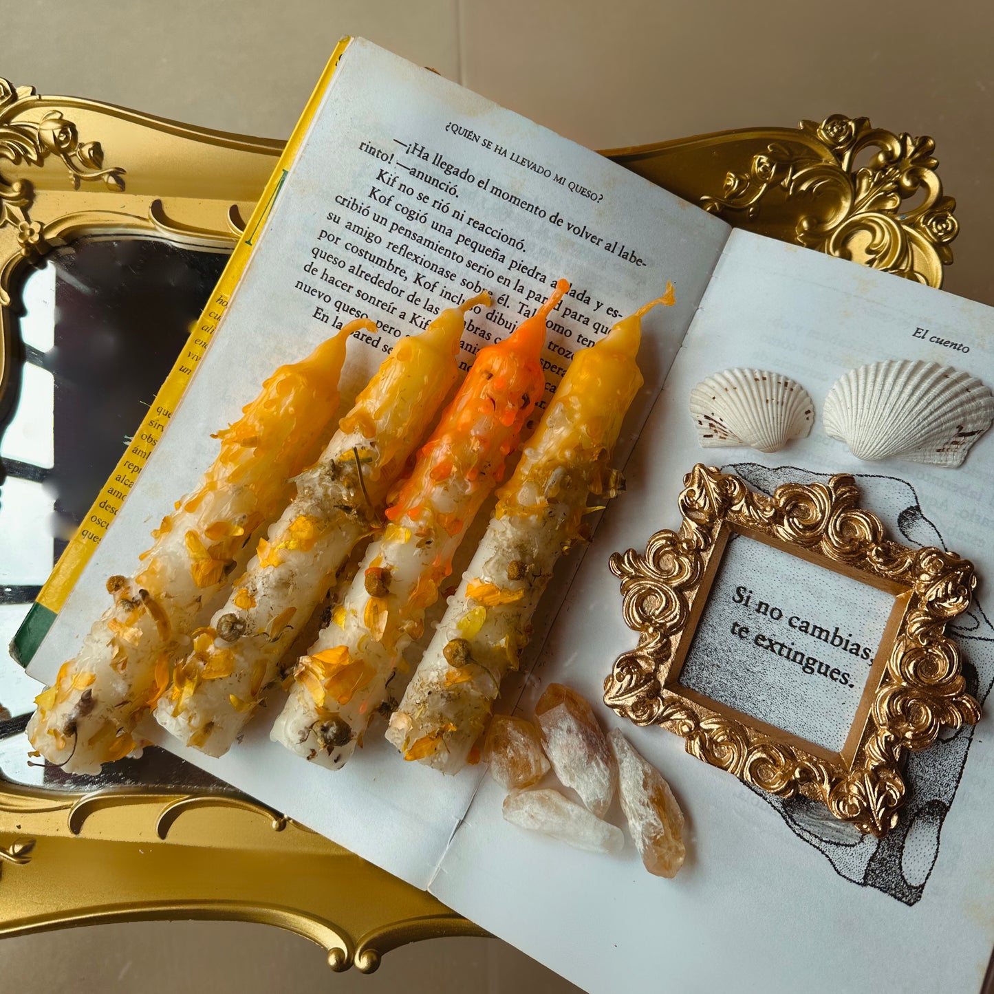 ALQUIMIA 2026 - Paquetes ESPECIALES para el 2026