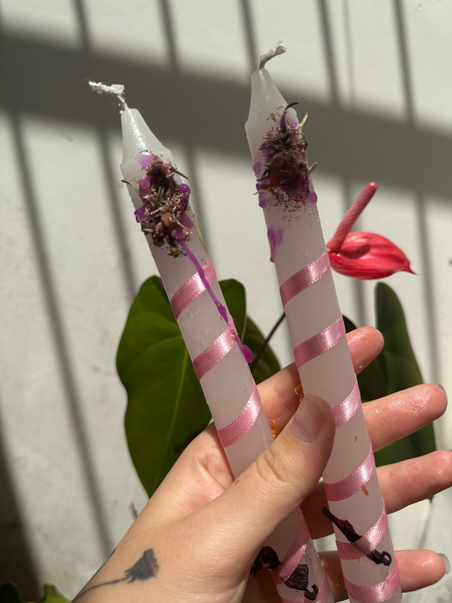 Vela de Belleza