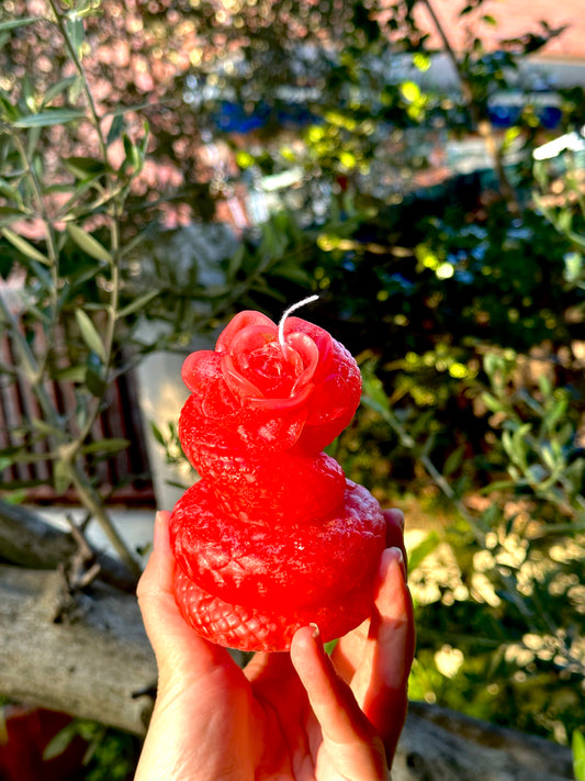 Vela del Fruto Prohibido ♥️ (para generar deseo y atracción masiva) Exclusivo de Mayo